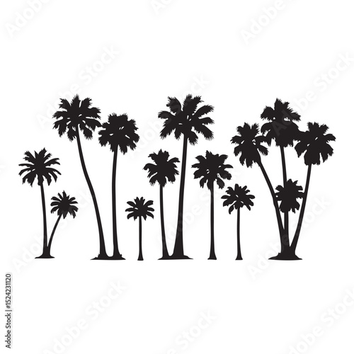 Set of black palm tree silhouettes isolated on white background. Vector illustration.