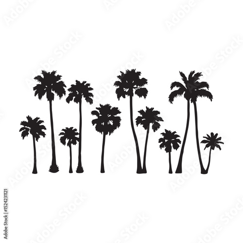Set of black palm tree silhouettes isolated on white background. Vector illustration.