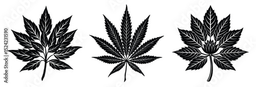 Black and white cannabis leaves vector illustration for graphic design and medical use stock image

