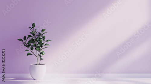 Corporate Background Set – Plants – ZZ Plant – 9 (of 9)
