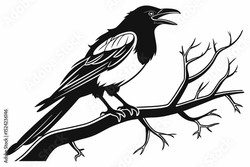 magpie sihouette black vector