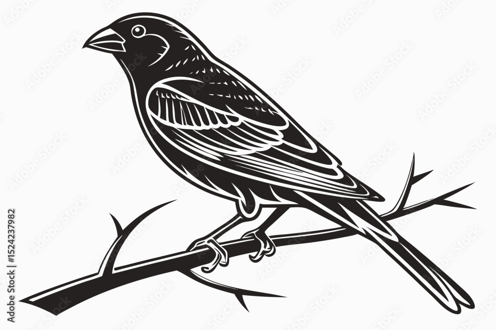 Fototapeta premium canary sihouette black vector