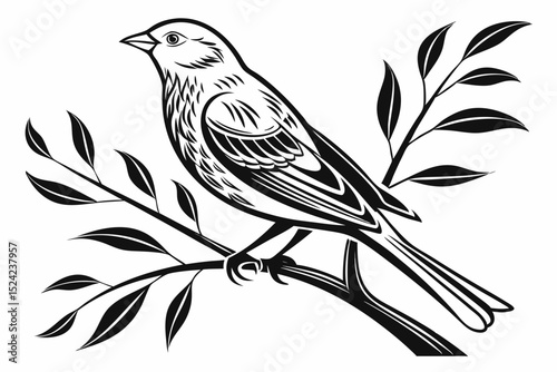 canary sihouette black vector