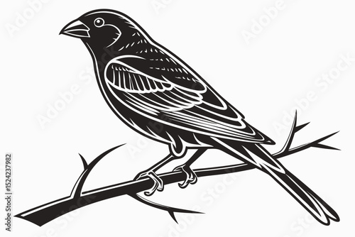 canary sihouette black vector