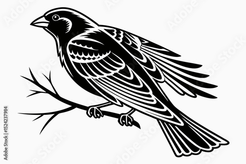 canary sihouette black vector