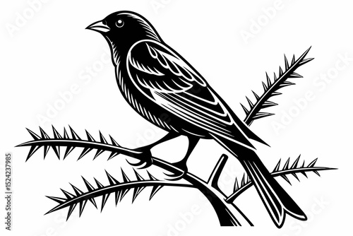canary sihouette black vector