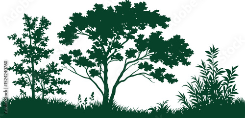 Vector illustration of green trees and plants silhouette nature landscape background design element 
