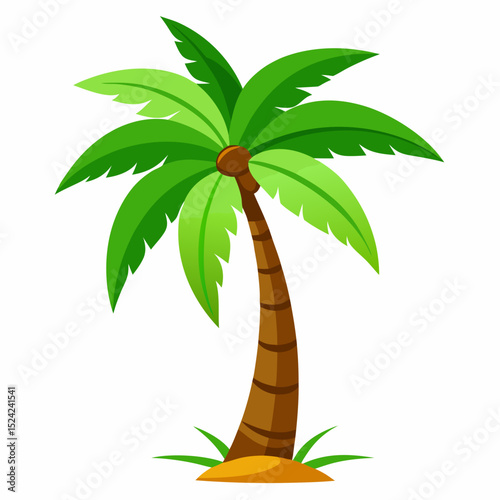 palm tree vector illustration