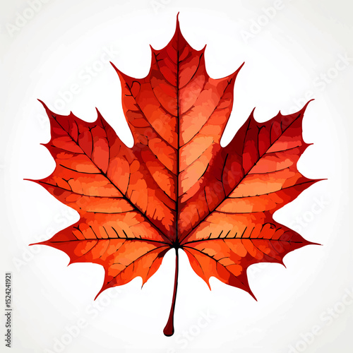 Watercolor Maple Leaf Illustration for Autumn Season

