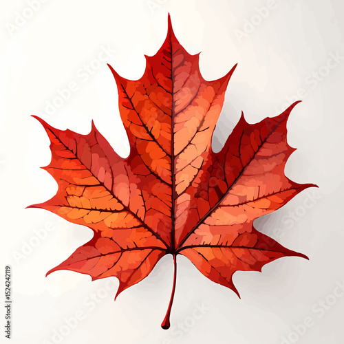 Watercolor Maple Leaf Illustration for Autumn Season


