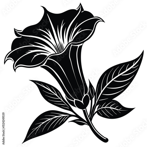 Black and white vector illustration of a datura flower with leaves for design projects and backgrounds
