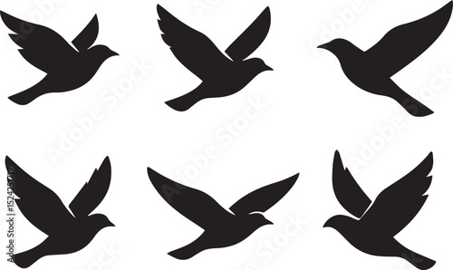Vector silhouettes of birds