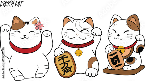 lucky cat illustration vector oriental japanese culture set