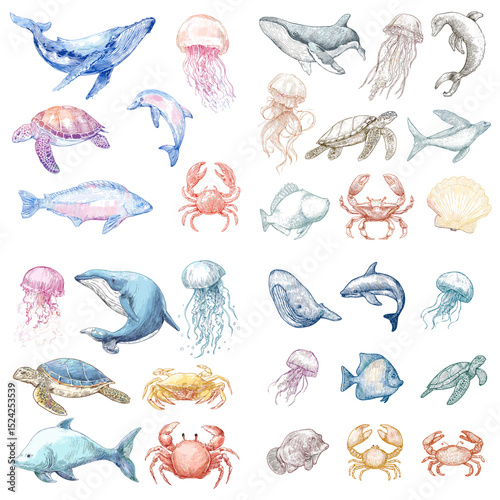 Watercolor marine life collection including whales, dolphins, jellyfish, turtles, crabs, and fish. Perfect for ocean-themed designs, kids’ learning, and nature content.

