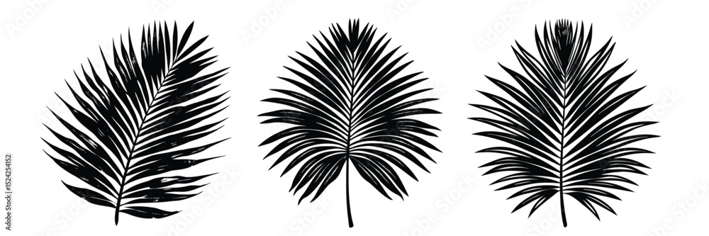 Fototapeta premium Black and white palm leaves illustration vector tropical foliage design botanical drawing summer plant art 