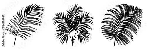 Black and white palm leaf vector illustration tropical plant design element for graphics and decoration
