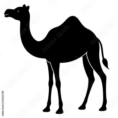 camel cartoon illustration