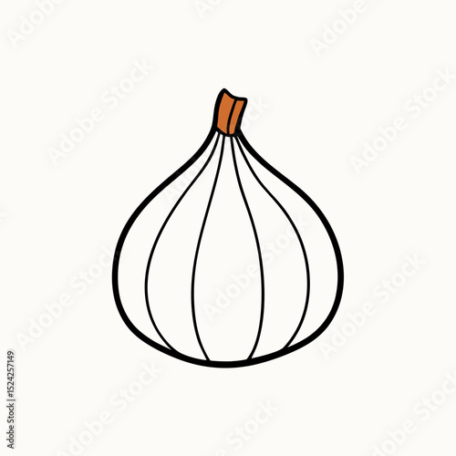 bengali garlic on white background