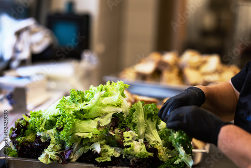 Chef with black gloves preparing fresh mixed lettuce in a professional kitchen. Healthy food preparation with focus on hygiene and clean ingredients.