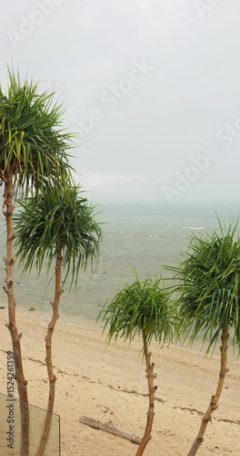 view from balcony from luxury villa to palm trees on the beach in heavy rain, nobody