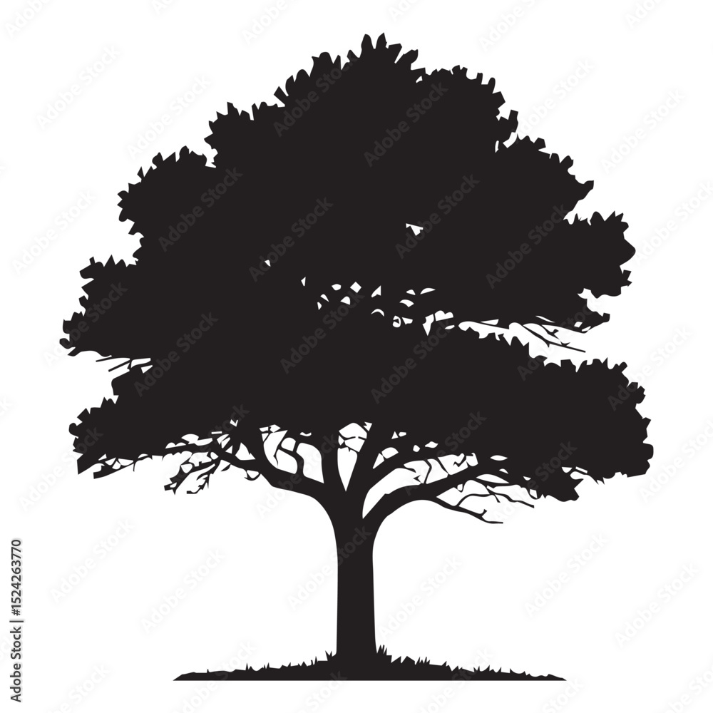 Fototapeta premium Tree Silhouette Drawing Design Vector Illustration