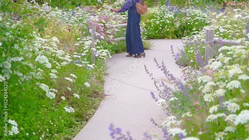 様々な草や花が咲き乱れる庭園の遊歩道で写真を撮る女性（神奈川県綾瀬市 光綾公園「あやせローズガーデン」）　
A woman takes a picture on the promenade of the garden, where various grasses and flowers are in bloom.
