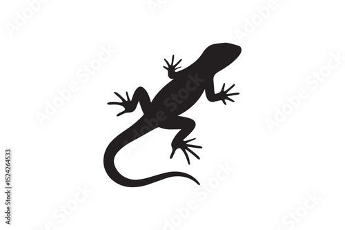 Lizard silhouette on white background.01