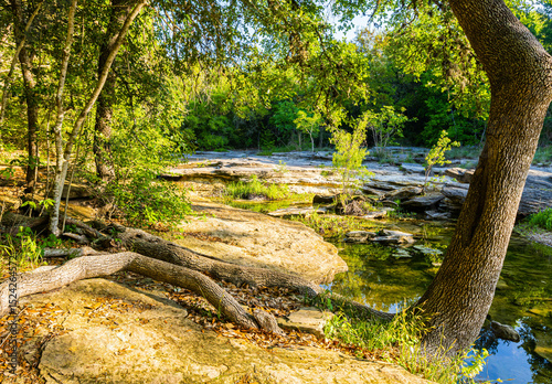 Early Morning Reflections on East Mills Creek, Brenham, Texas, USA
