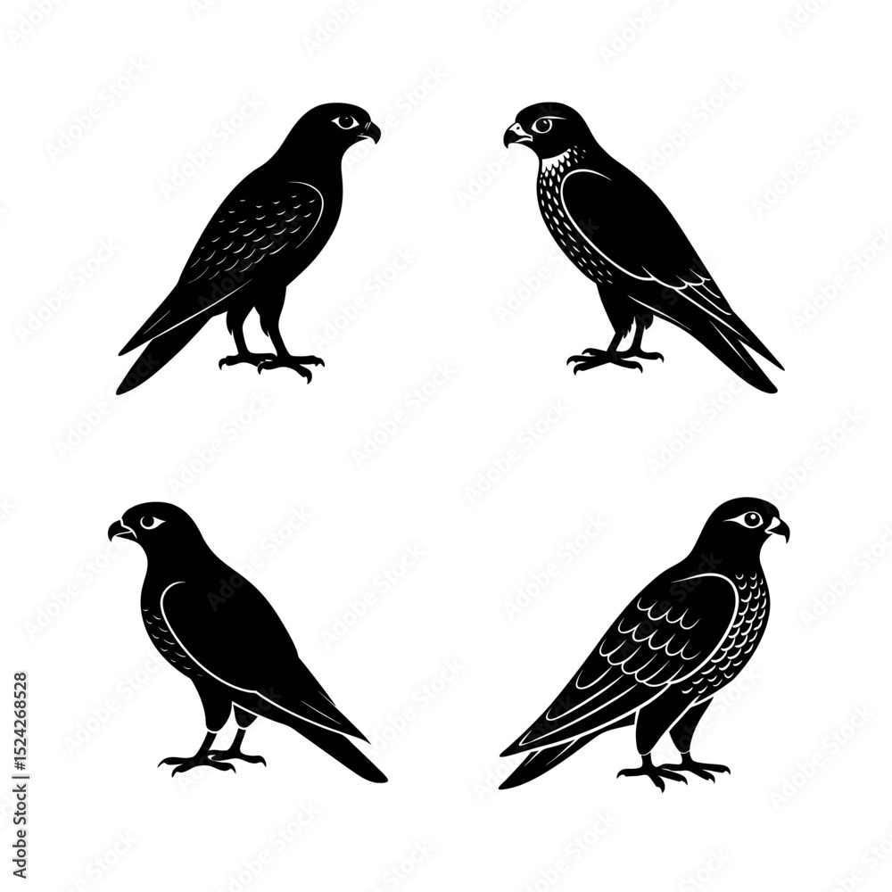 Fototapeta premium set of birds isolated