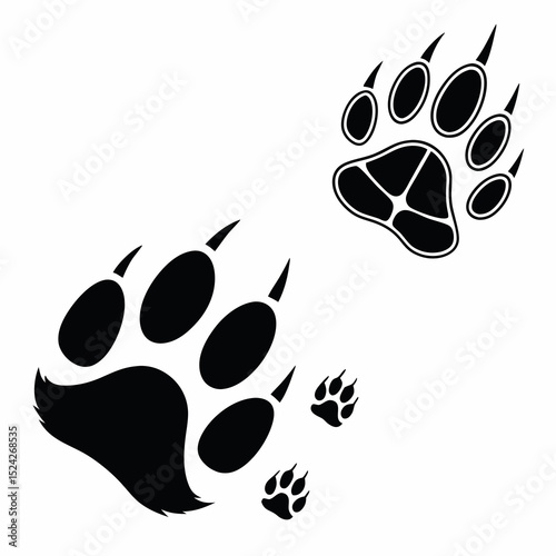 Black bear paw prints animal tracks wildlife nature