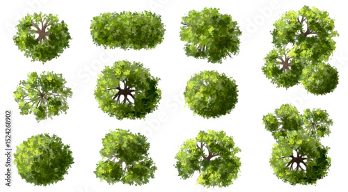 Vector set of Top view green tree for outdoor plan or map and architecture drawing, elements for environment and garden ,botanical elements ,Blooming flowers in spring,tropical plants element