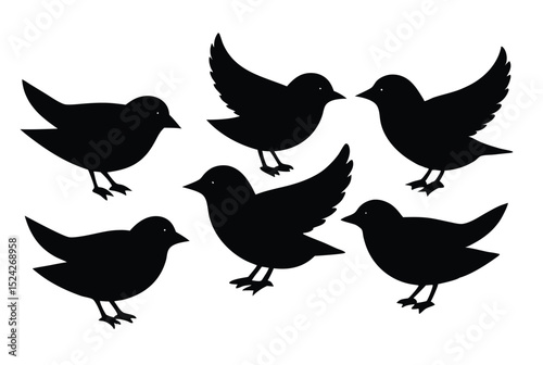 Black Bird Silhouette Set Featuring Various Poses Perfect for Nature Themed Vector Art and Wildlife Design Projects