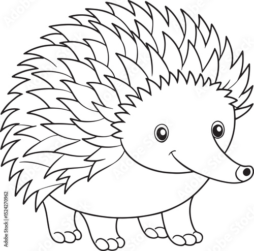 Adorable Echidna Line Art Printable Coloring Page For Kids Vector Illustration