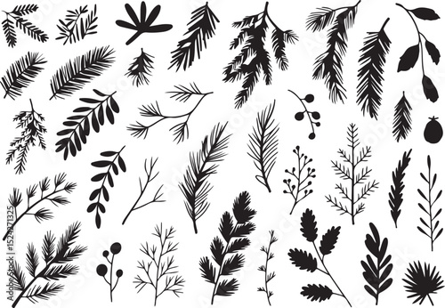 Hand-Drawn Rustic Pine Branch and Winter Botanicals Collection