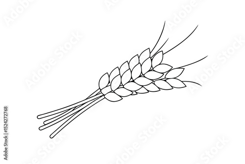 Simple line drawing of wheat stalks harvest agriculture