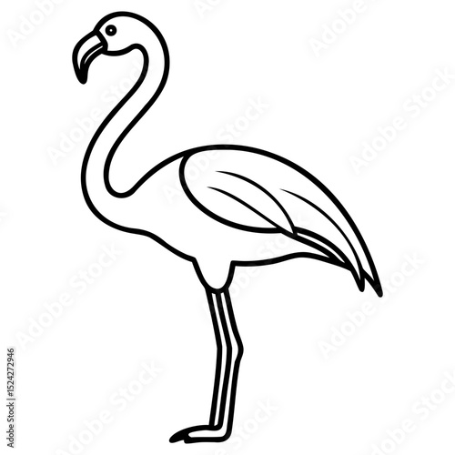 Illustration of a standing flamingo with a curved neck and long thin legs drawn on transparent background