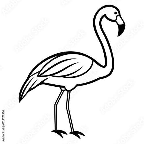 Illustration of a flamingo standing with its long neck and thin legs outlined on transparent background