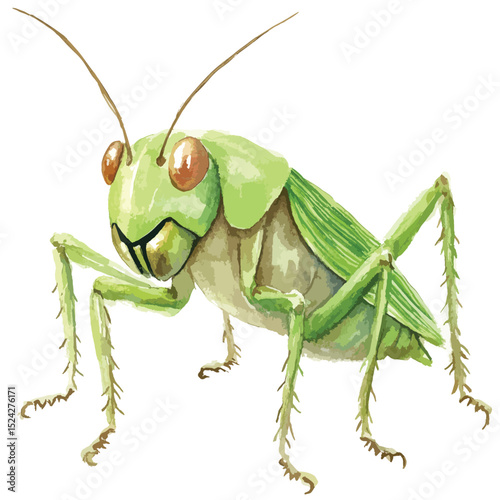 Watercolor Grasshopper with Detailed Green Body and Brown Eyes Posed