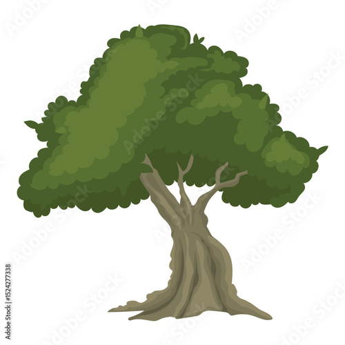 green forest tropical trees with white background separate