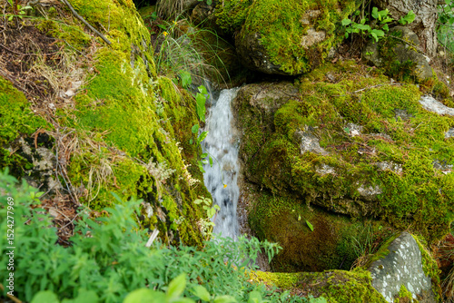 A small, natural waterfall amidst moss-covered rocks in a lush, green landscape. Alps in France