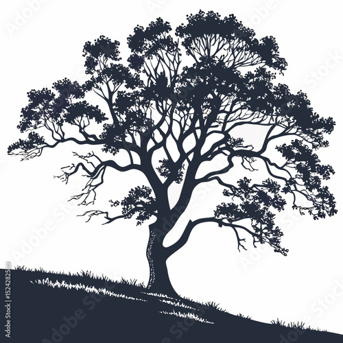 Majestic silhouette tree on hillside landscape