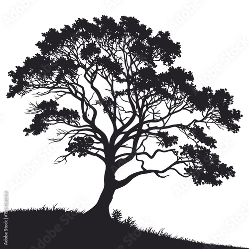 Majestic silhouette of a lone tree in grass