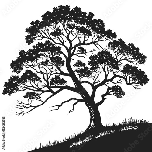Majestic silhouette tree on grassy hillside