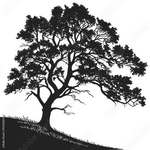 Majestic silhouette tree on hillside landscape