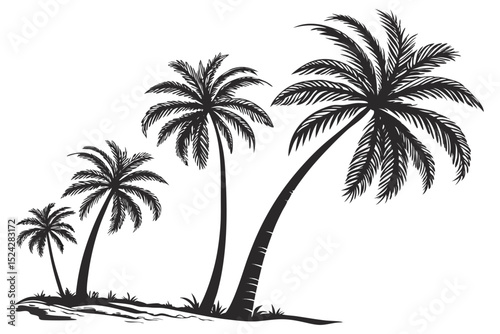 Palm Tree Silhouette Set – Black Tropical Vector Trees Isolated on White Background for Posters and Design

