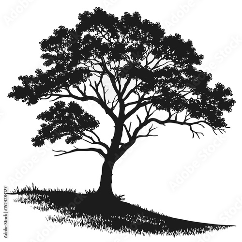 Majestic silhouette tree on hillside landscape