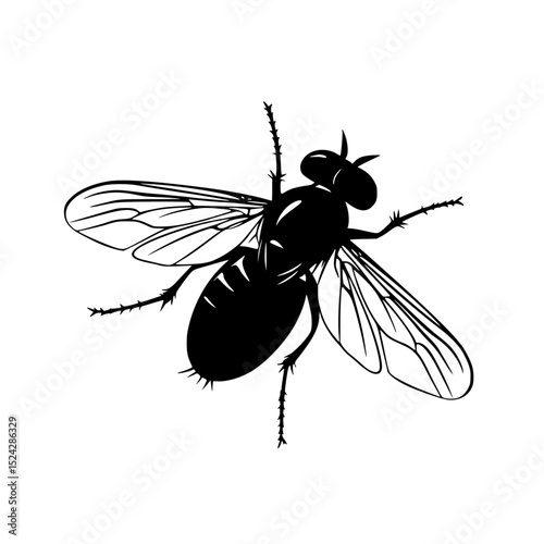 a black and white silhouette of a fly on a transparent background black, fly, illustration, insect, silhouette, wing , Generative art.