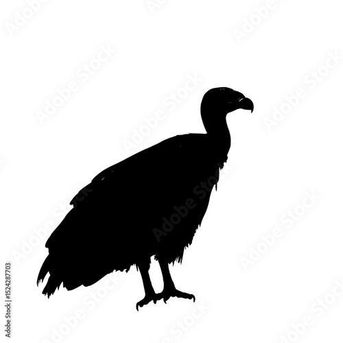 a black silhouette of a vulture on a transparent background bird, black, silhouette, stand, vulture , Generative art.