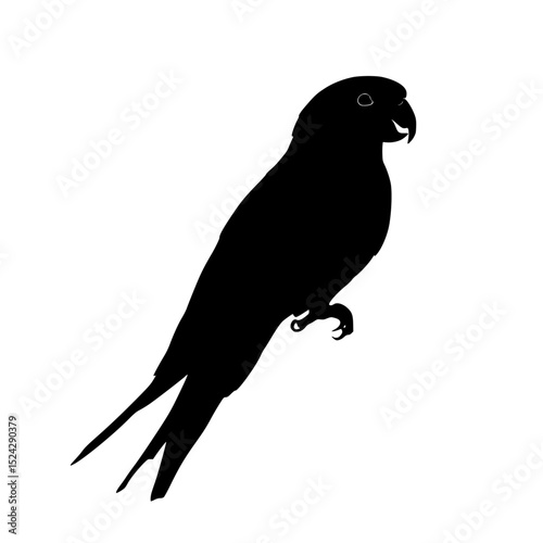 a black silhouette of a parrot on a transparent background bird, black, parrot, silhouette , Generative art.