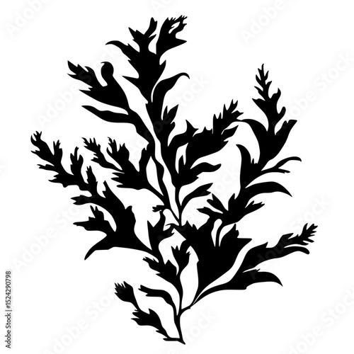 black silhouette of a plant with branches and flowers on a transparent background algae, black, branch, flower, illustration, plant, seaweed, silhouette , Generative art.